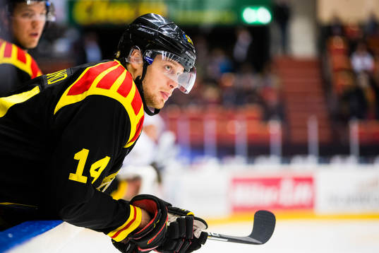 Brynäs David Westlund