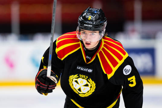 Brynäs Christian Djoos