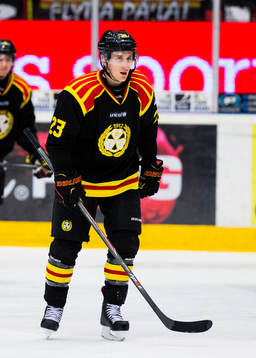 Brynäs Bill Sweatt ser deppig ut