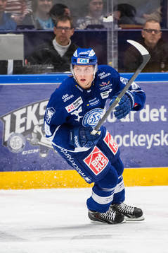 Leksands David Åslin