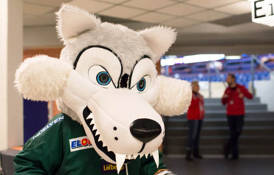 Ture Vargunder visar gaddarna ishockeymatchen i SHL mellan