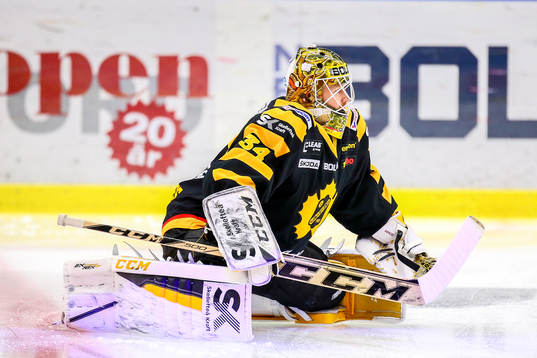 Skellefteås målvakt Erik Hanses