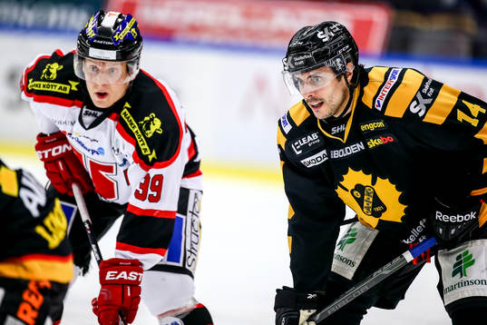 Skellefteås Daniel Widing
