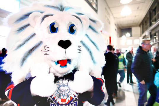 Linköpings maskot Sture