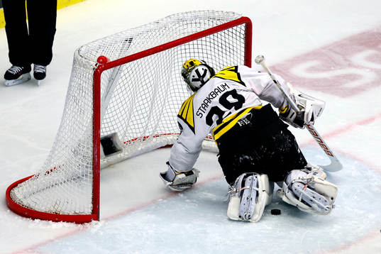 Brynäs målvakt Bernhard Starkbaum plockar ut pucken