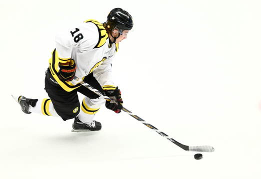Brynäs Anton Rödin