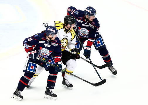 Linköpings Jonas Almtorp, Brynäs Bill Sweatt och