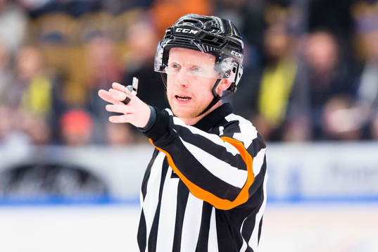 Domare Mikael Holm