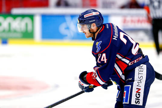 Linköpings Fredric Andersson jublar