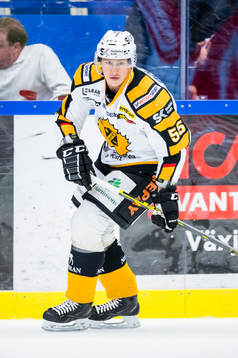 Skellefteås Martin Sevc