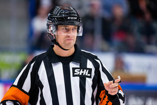 Domare Sören Persson