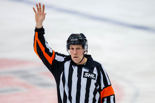 Domare Morgan Johansson