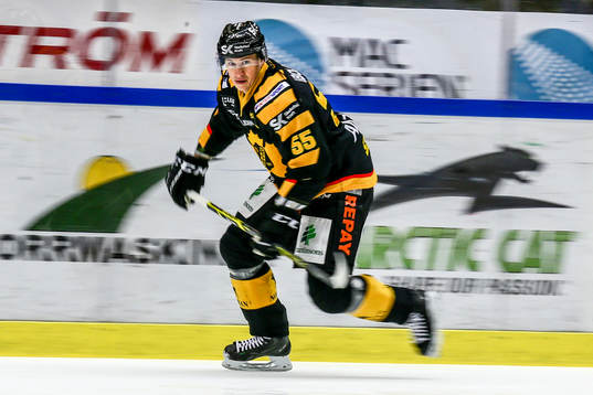 Skellefteås Martin Sevc