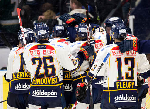 Djurgårdens målvakt Mikael Tellqvist och de andra