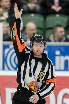 Domare David Bergman