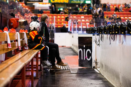 Två knattar sitter i båset och väntar på att få kliva
