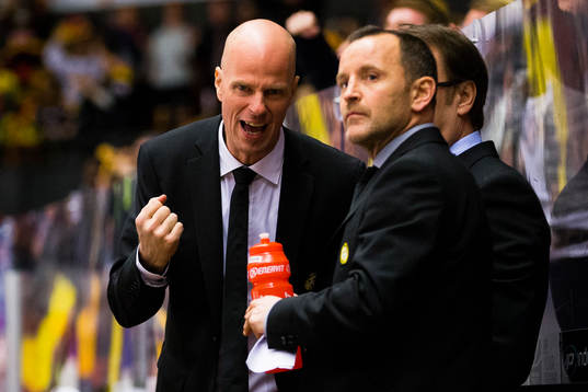 Brynäs assisterande tränare Petter Nilsson jublar