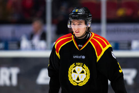 Brynäs Christian Djoos