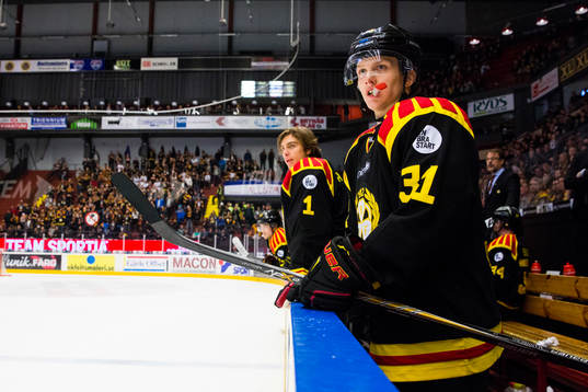 Brynäs Daniel Mannberg