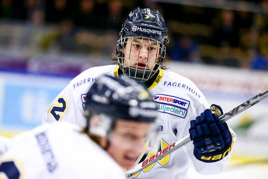 Hv71s Filip Ahl
