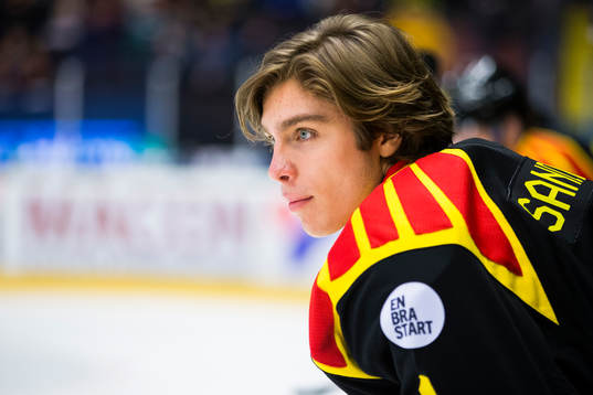 Brynäs målvakt Felix Sandström