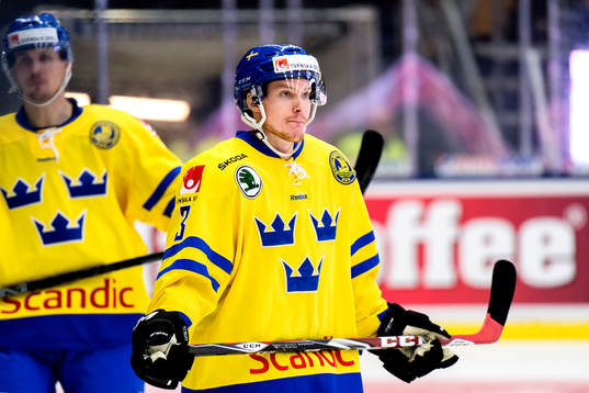 Sveriges Niclas Burström