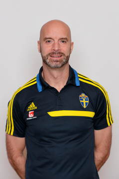 domare Stefan Johannesson