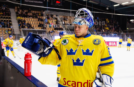 Sveriges målvakt Oscar Alsenfelt