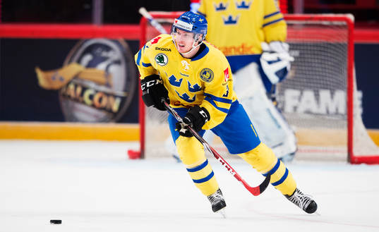 Sveriges Niclas Burström