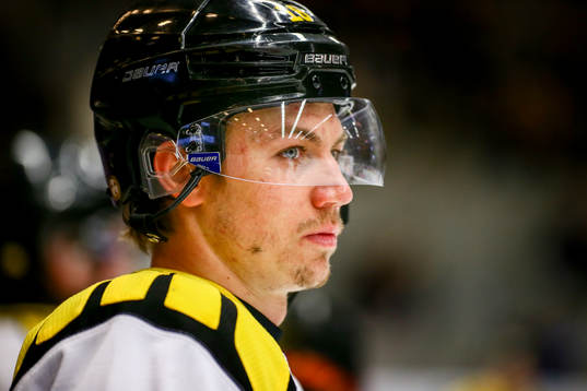 Brynäs Anton Rödin