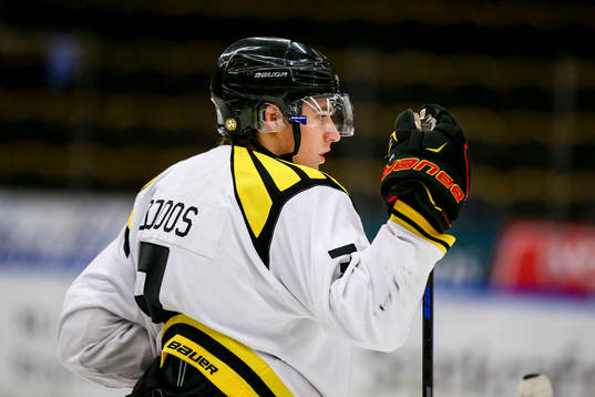 Brynäs Christian Djoos