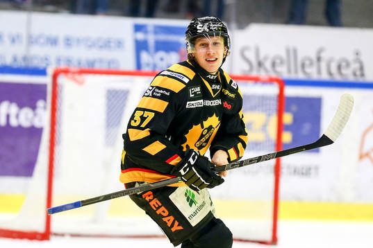 Skellefteås John Norman jublar