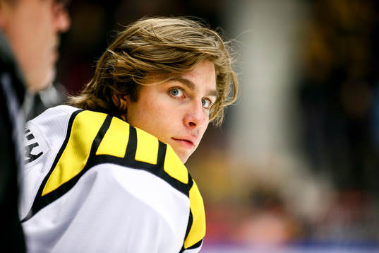 Brynäs målvakt Felix Sandström