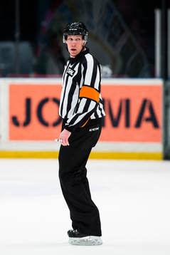 Domare Morgan Johansson