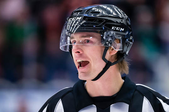 Domare Mikael Andersson
