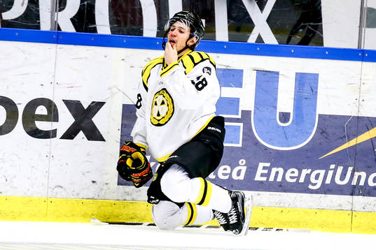 Brynäs Anton Rödin