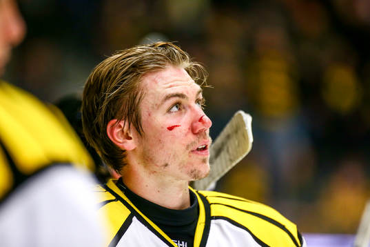 Brynäs Anton Rödin