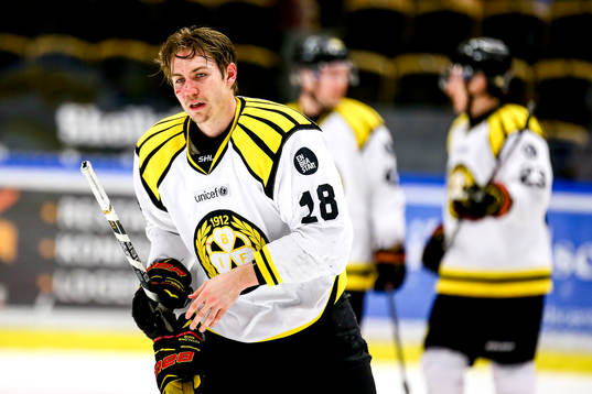 Brynäs Anton Rödin
