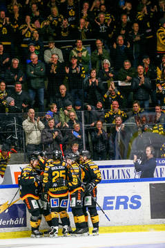 Skellefteås Tim Heed jublar