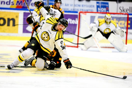 Brynäs Daniel Brodin