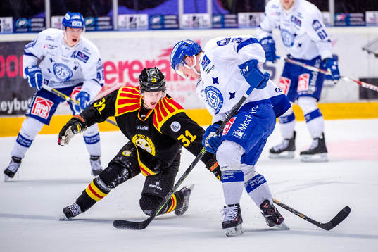 Bläddra bland fler bilder av Ishockey, SHL, Brynäs - Leksand