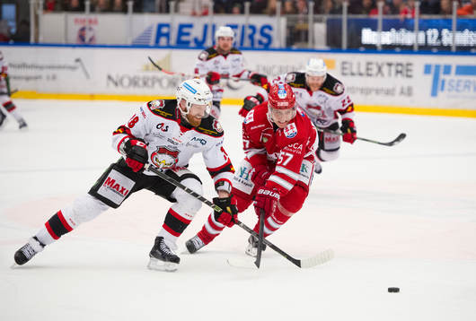 Malmö Redhawks Jens Olsson i närkamp mot Timrås Anton