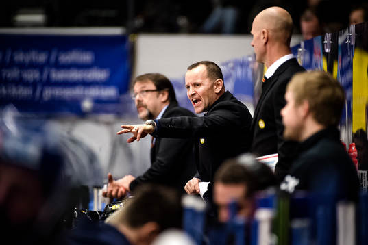 Brynäs huvudtränare Thomas Berglund