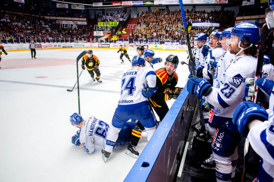 Brynäs Anton Rödin