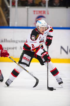 Malmö Redhawks Nils Andersson