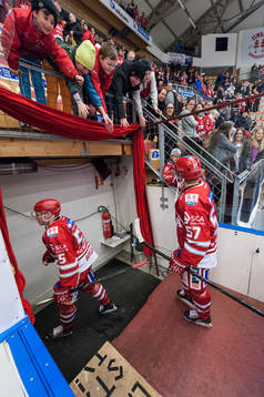 publiken jublar mot Timrås Anton Wedin