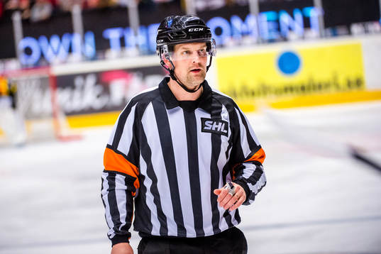 Domaren Mikael Nord
