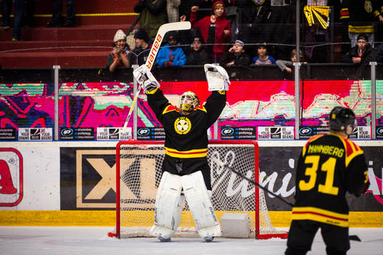 Brynäs målvakt Bernhard Starkbaum jublar