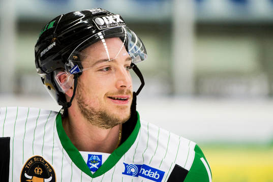 Rögles Mike Vernace