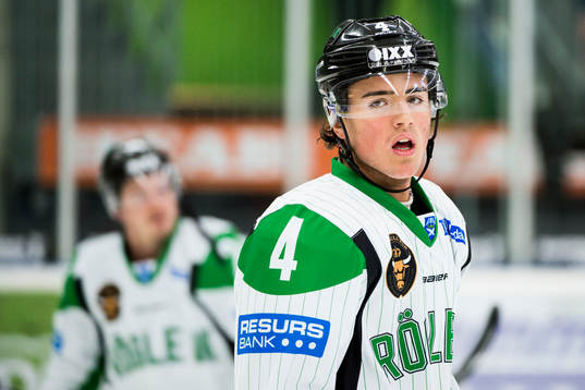 Rögles Alen Bibic
